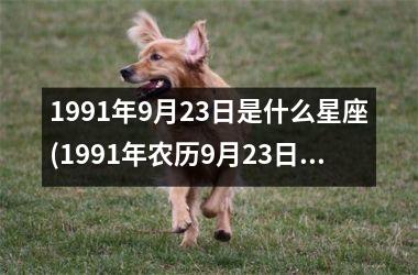 1991年9月23日是什么星座(1991年农历9月23日是什么星座)