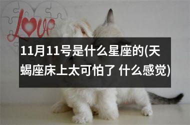 <h3>11月11号是什么星座的(天蝎座床上太可怕了 什么感觉)