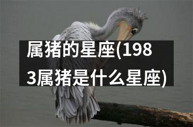 <h3>属猪的星座(1983属猪是什么星座)