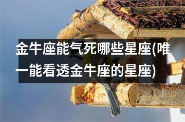 <h3>金牛座能气死哪些星座(唯一能看透金牛座的星座)
