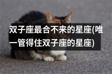 <h3>双子座最合不来的星座(唯一管得住双子座的星座)