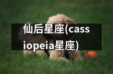 <h3>仙后星座(cassiopeia星座)
