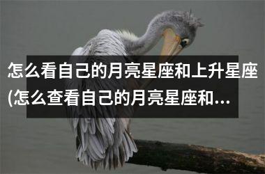 <h3>怎么看自己的月亮星座和上升星座(怎么查看自己的月亮星座和上升星座)