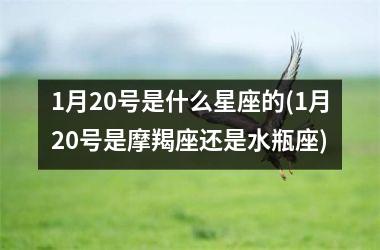 <h3>1月20号是什么星座的(1月20号是摩羯座还是水瓶座)