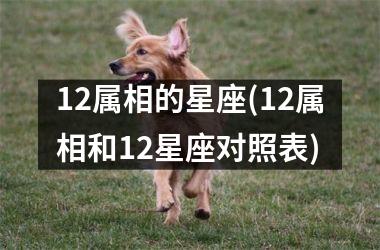 12属相的星座(12属相和12星座对照表)