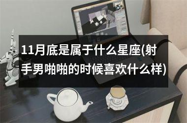<h3>11月底是属于什么星座(射手男啪啪的时候喜欢什么样)
