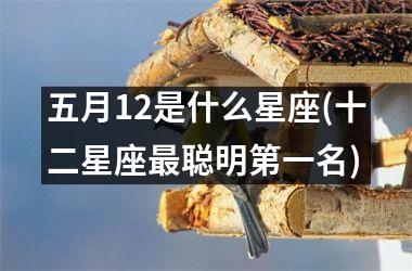 五月12是什么星座(十二星座最聪明第一名)