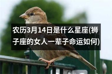 农历3月14日是什么星座(狮子座的女人一辈子命运如何)