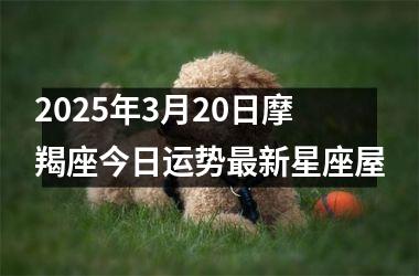 <h3>2025年3月20日摩羯座今日运势最新星座屋