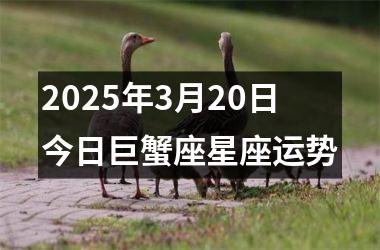 <h3>2025年3月20日今日巨蟹座星座运势