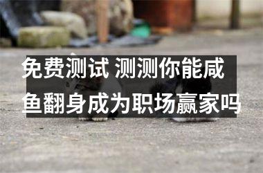 <h3>免费测试 测测你能咸鱼翻身成为职场赢家吗