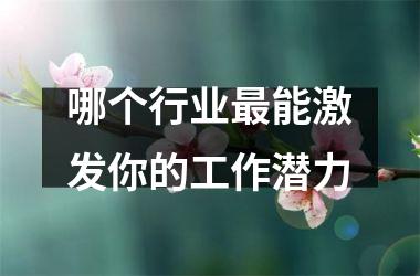 <h3>哪个行业能激发你的工作潜力