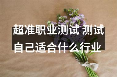 <h3>超准职业测试 测试自己适合什么行业