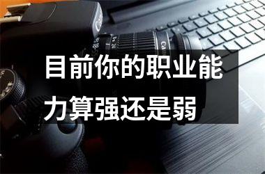 <h3>目前你的职业能力算强还是弱