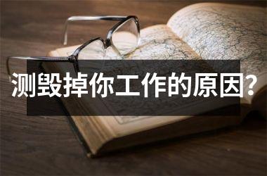 <h3>测毁掉你工作的原因？