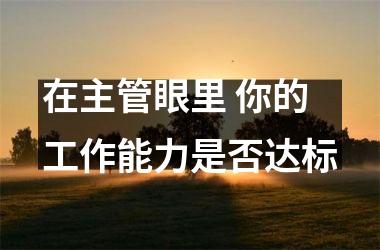 <h3>在主管眼里 你的工作能力是否达标