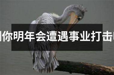 测你明年会遭遇事业打击吗