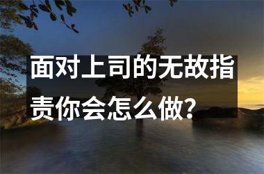 <h3>面对上司的无故指责你会怎么做？