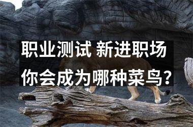 <h3>职业测试 新进职场你会成为哪种菜鸟？