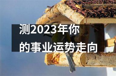<h3>测2025年你的事业运势走向
