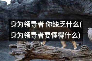 身为领导者 你缺乏什么(身为领导者要懂得什么)