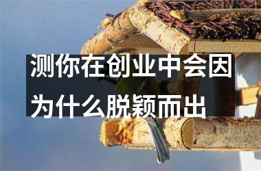<h3>测你在创业中会因为什么脱颖而出