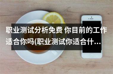 <h3>职业测试分析免费 你目前的工作适合你吗(职业测试你适合什么工作免费)