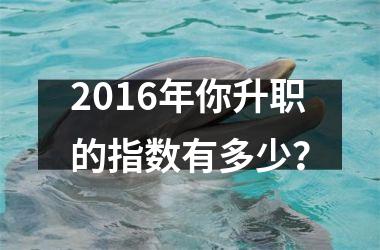 <h3>2016年你升职的指数有多少？