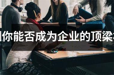 <h3>测你能否成为企业的顶梁柱