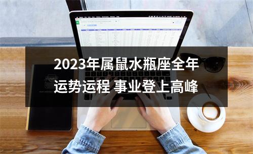 <h3>2025年属鼠水瓶座全年运势运程事业登上高峰