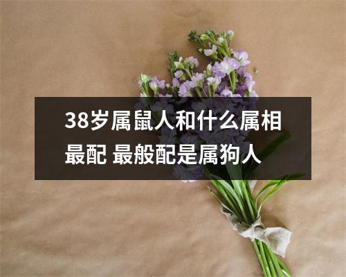 <h3>38岁属鼠人和什么属相配般配是属狗人
