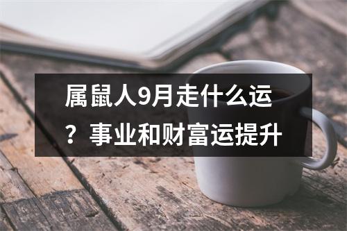 <h3>属鼠人9月走什么运？事业和财富运提升
