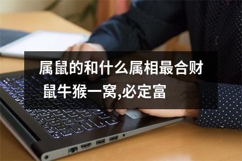 <h3>属鼠的和什么属相合财鼠牛猴一窝,必定富