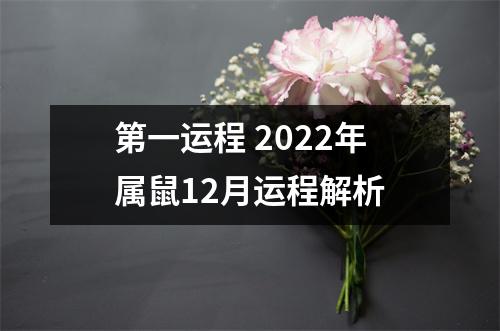 <h3>第一运程2025年属鼠12月运程解析