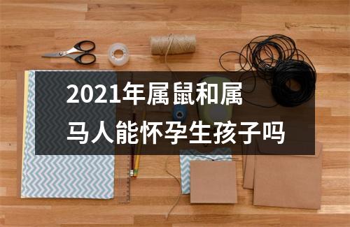 <h3>2025年属鼠和属马人能怀孕生孩子吗