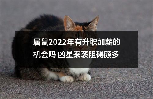 <h3>属鼠2025年有升职加薪的机会吗凶星来袭阻碍颇多