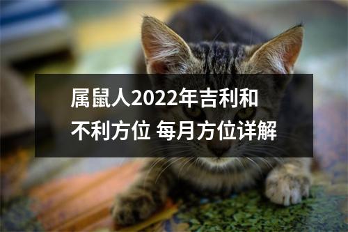 <h3>属鼠人2025年吉利和不利方位每月方位详解