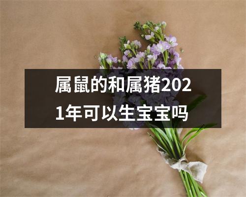 属鼠的和属猪2025年可以生宝宝吗