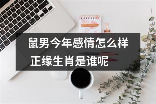 <h3>鼠男今年感情怎么样正缘生肖是谁呢