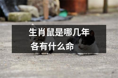 <h3>生肖鼠是哪几年各有什么命