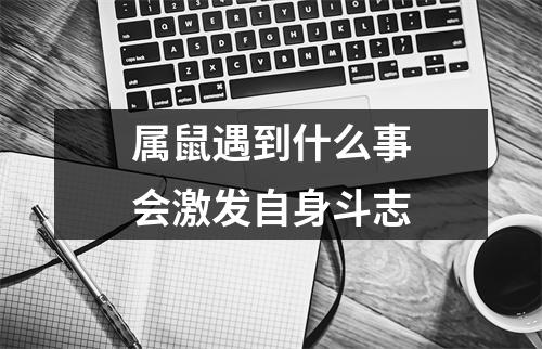 <h3>属鼠遇到什么事会激发自身斗志
