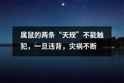 <h3>属鼠的两条“天规”不能触犯，一旦违背，灾祸不断