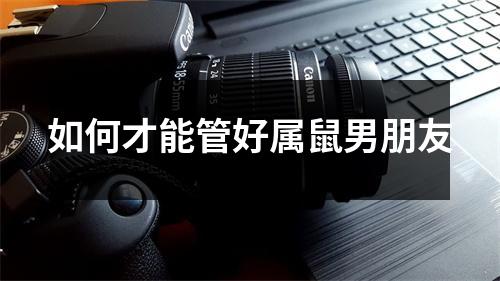<h3>如何才能管好属鼠男朋友