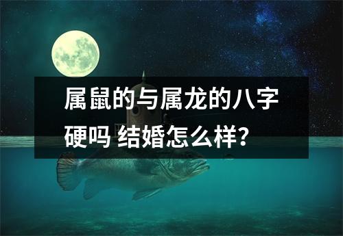 <h3>属鼠的与属龙的八字硬吗结婚怎么样？