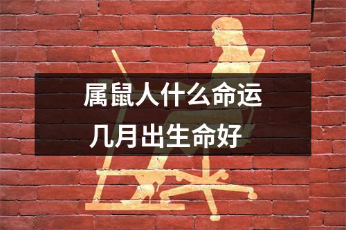 <h3>属鼠人什么命运几月出生命好