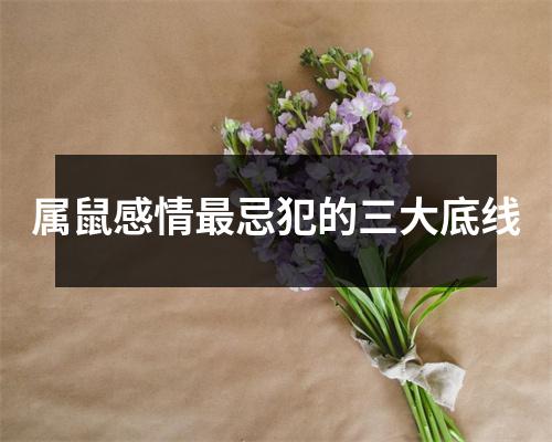 <h3>属鼠感情忌犯的三大底线