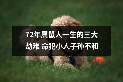 <h3>72年属鼠人一生的三大劫难命犯小人子孙不和