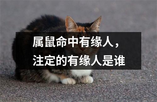 <h3>属鼠命中有缘人，注定的有缘人是谁