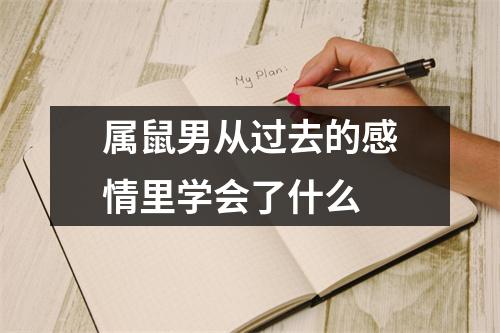 <h3>属鼠男从过去的感情里学会了什么