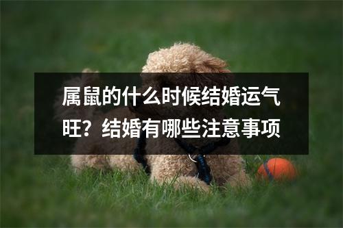 <h3>属鼠的什么时候结婚运气旺？结婚有哪些注意事项